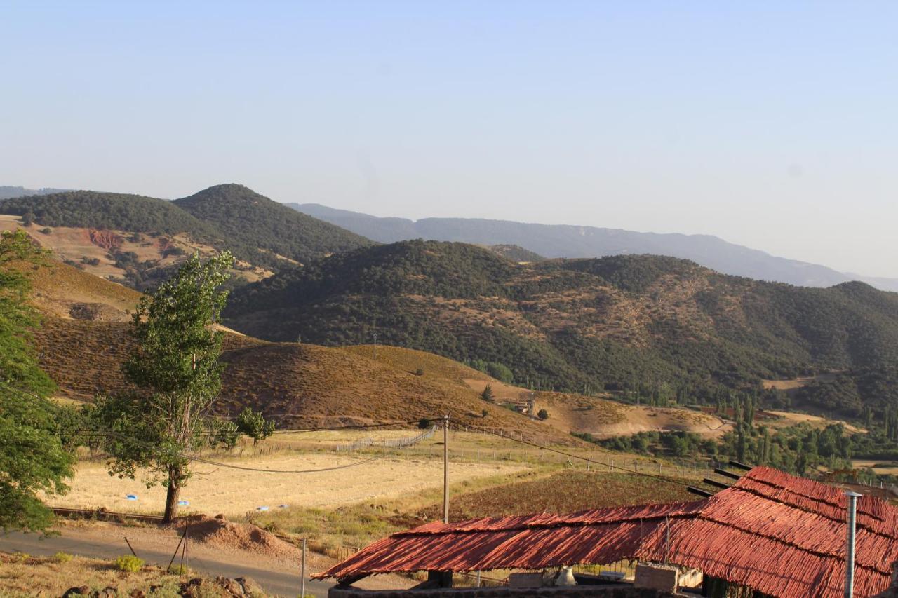 Maison d'hôtes La Chèvre De Monsieur Seguin Ifrane (Ifrane)